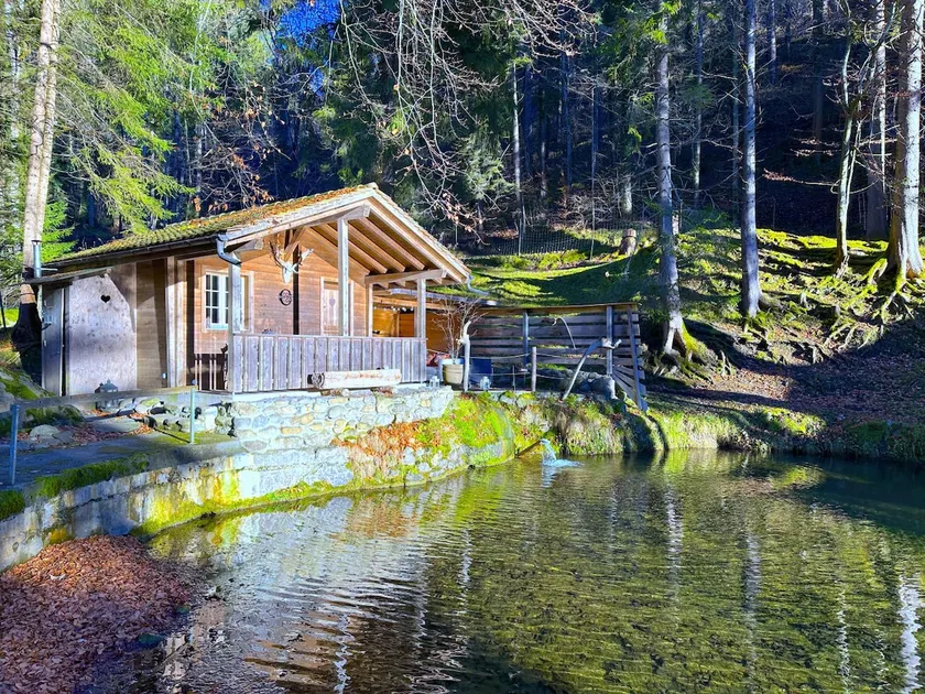 Idyllic Farm Cabin with Scenic Views and Concierge by SwissHut - Image 1