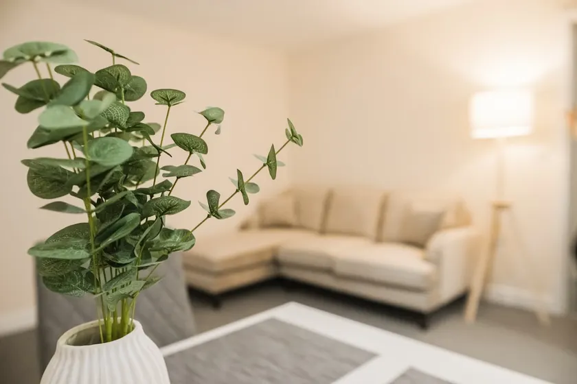 2 Bedroom Classic Apartment - Image 1