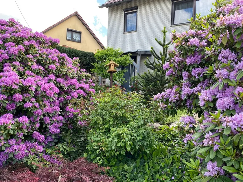 Apartment near Inselsberg hiking trails - Image 1