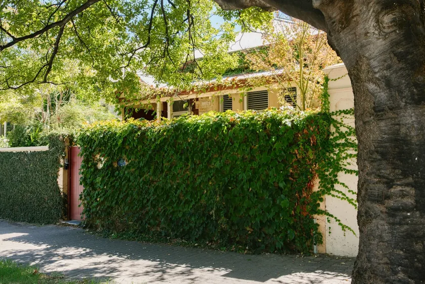 Contemporary Haven | Private Yard & BBQ | Adelaide - Image 1