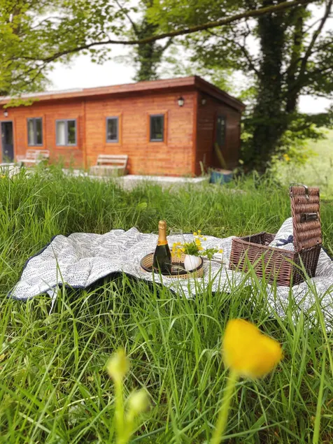 Scenic Countryside Cabin: Romantic & Pet-Friendly - Image 1