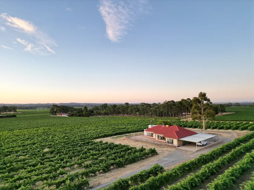 McGill Vineyard Barossa - Image 1