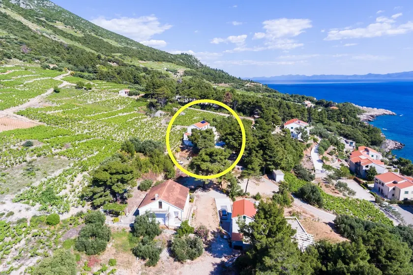 Appartamenti Villa Dingač - Appartamento con 2 camere da letto e terrazza n. 1 - Image 1