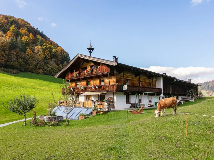 Fantastic apartment with garden - Image 1