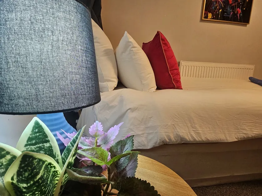 Flat House - Image 1