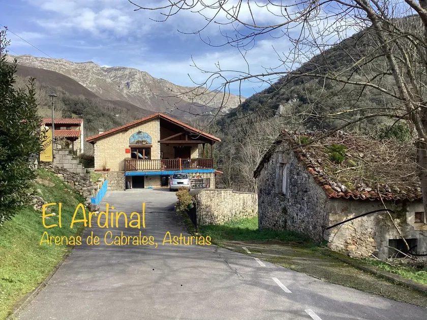 Apartment Ribeles - Image 1
