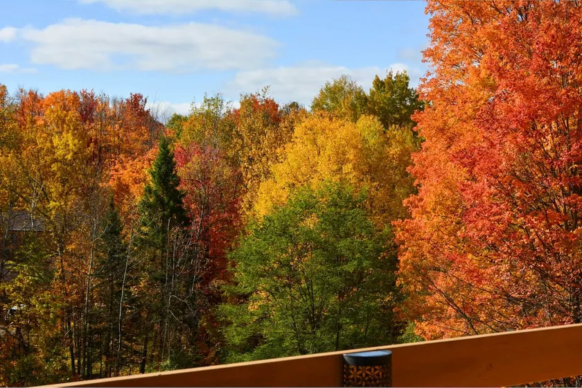 Trout Creek Resort Condo - 6 Mi to Lake Michigan! - Image 1