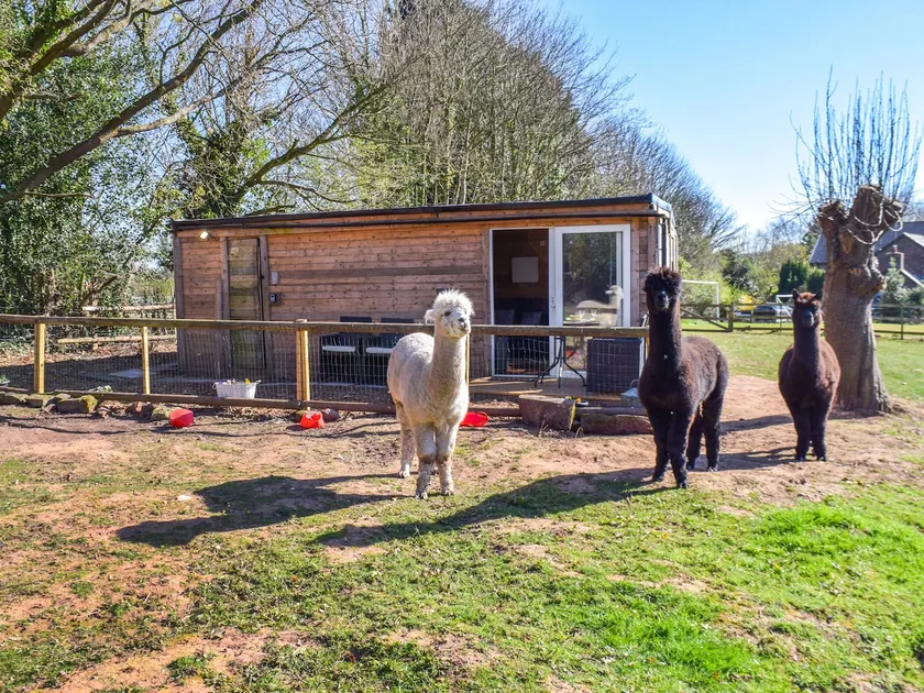 Alpaca Lodge - Image 1
