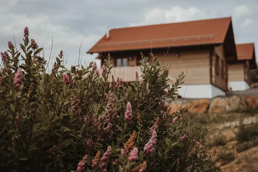 Oberwald Chalets Vacation Home 4 - Image 1
