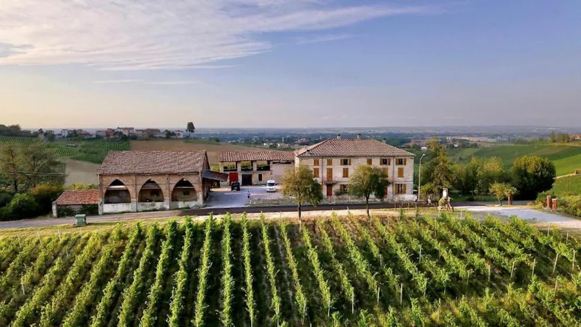 Pet-Friendly Vacation Home among the Vineyards - Image 1