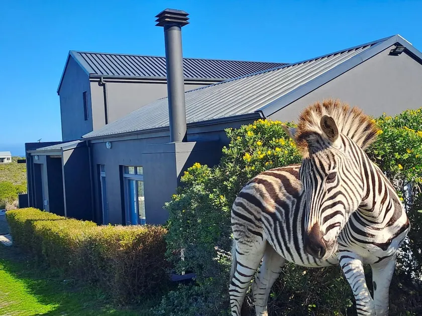 Romansbaai Beach House - Image 1