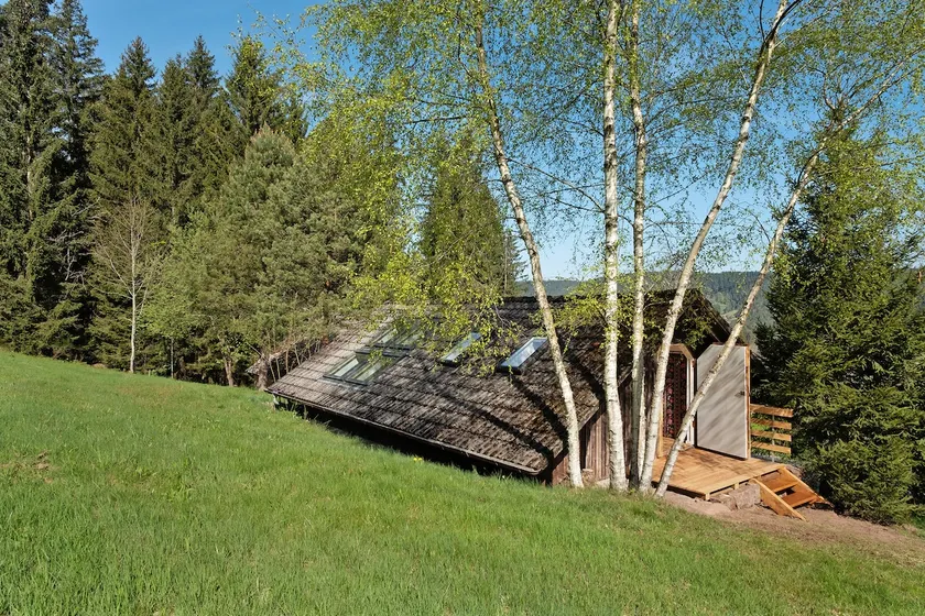 Mountain meadow - Image 1
