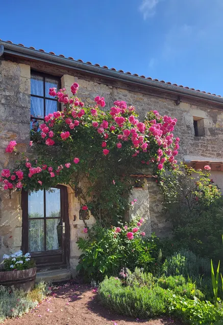 Couple's cottage 2-4 people. Romantic getaway - Image 1
