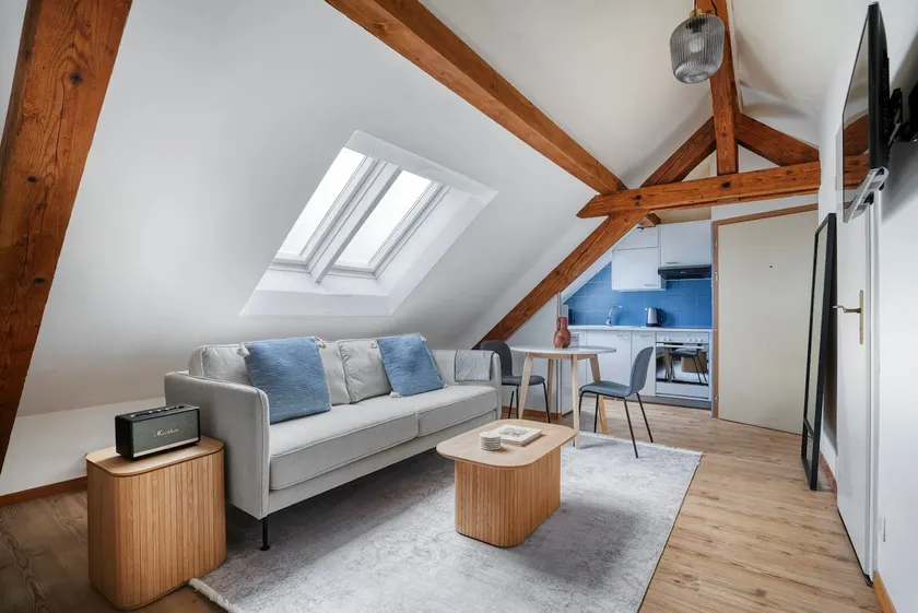 Eagle Suite · Spacious Attic Apartment - Wipkingen - Image 1