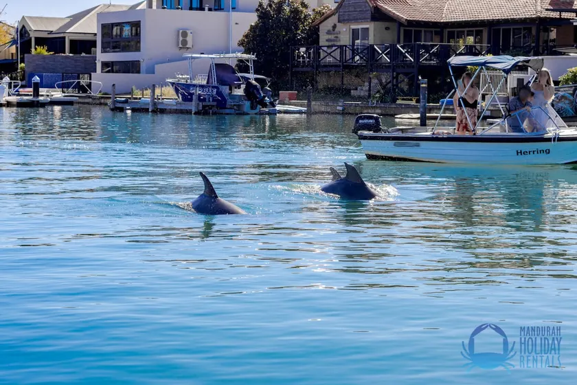 Dolphin Retreat in Halls Head - Image 1