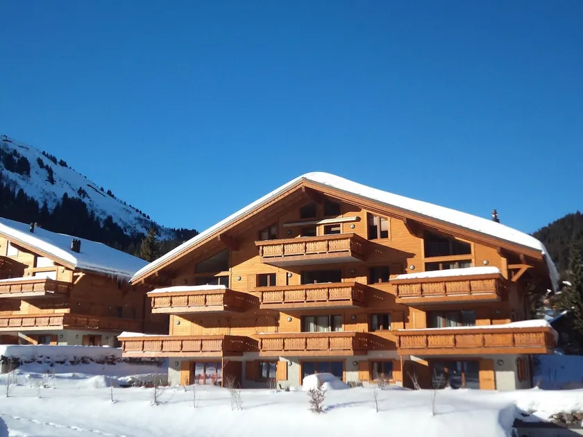 Edelweiss B31, Morgins - Image 1
