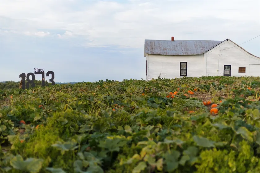 Rendelman Orchard's Farm Stay - Image 1