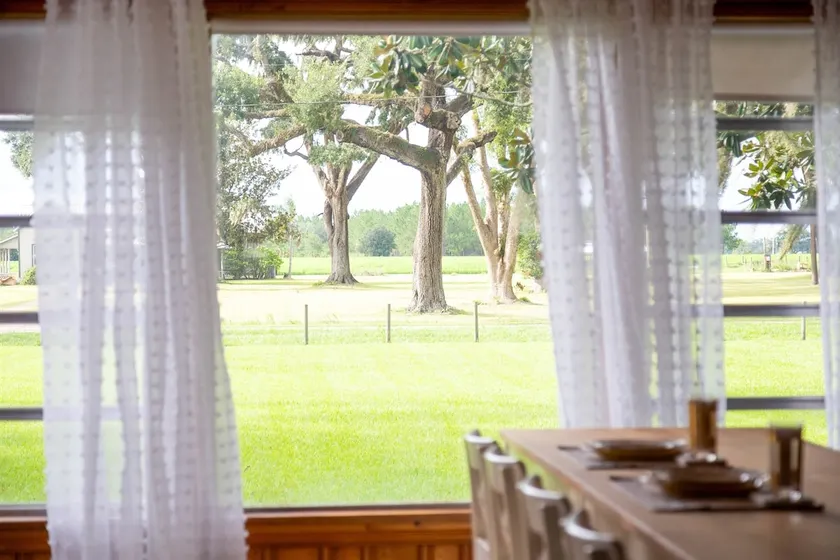 Cozy Farm Studio w\ KuneKune Pigs! 20min to Tampa - Image 1