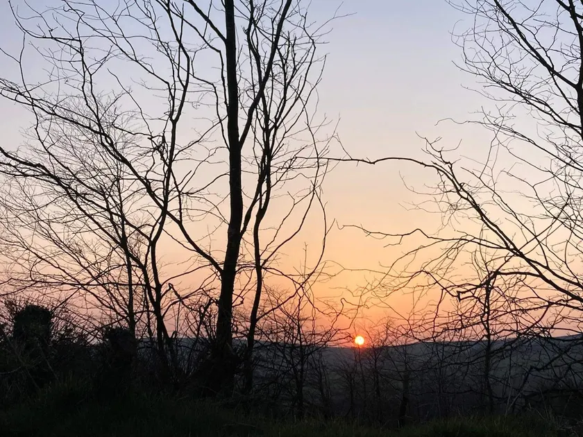 Mountain Lodge, North Wexford, Sleeps 4 - Image 1