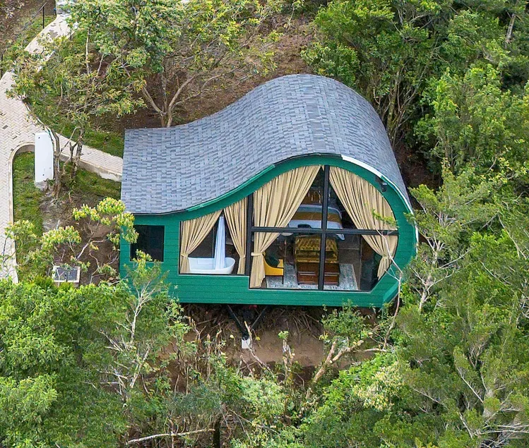 New! Bobo Bird - Jungle Views - Image 1