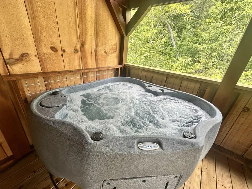 Feelin Feisty! Hot Tub AVL WiFi - Image 1