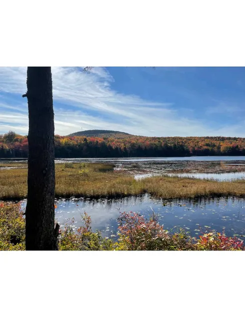 Serene Pondside Cottage w/Private Island Camping! - Image 1