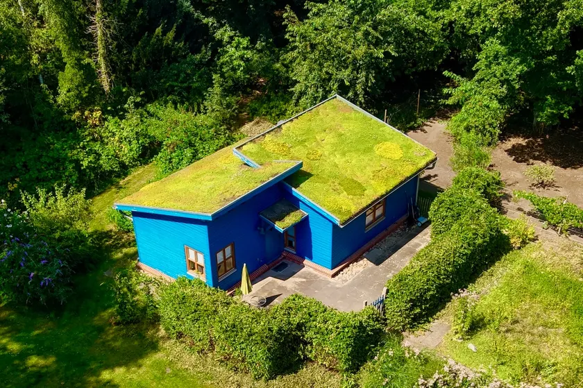 The blue house - Image 1
