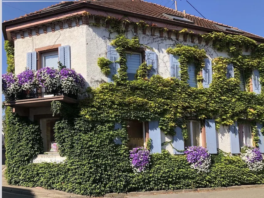 Ferielejlighed Monet i Oberrotweil - Image 1