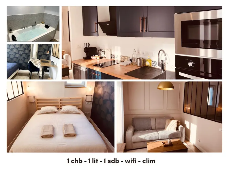 Charmant Studio Balneo wifi clim borne electrique - Image 1