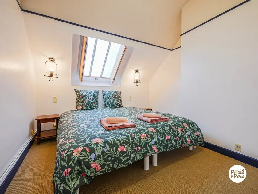The Setter: cozy, at the foot of the Château, pet-friendly - Image 1