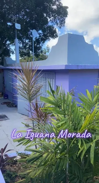 La Iguana Morada: A/C, WiFi, BioBay, walk to Ferry - Image 1