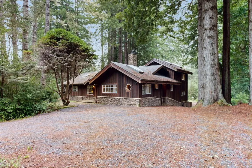 Little River Redwoods - Image 1