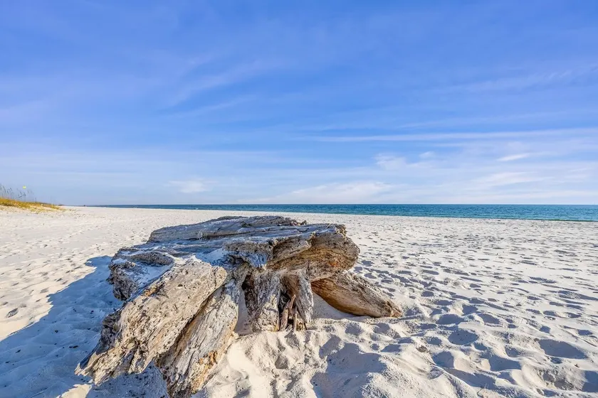 Royal Gulf 04 - Image 1