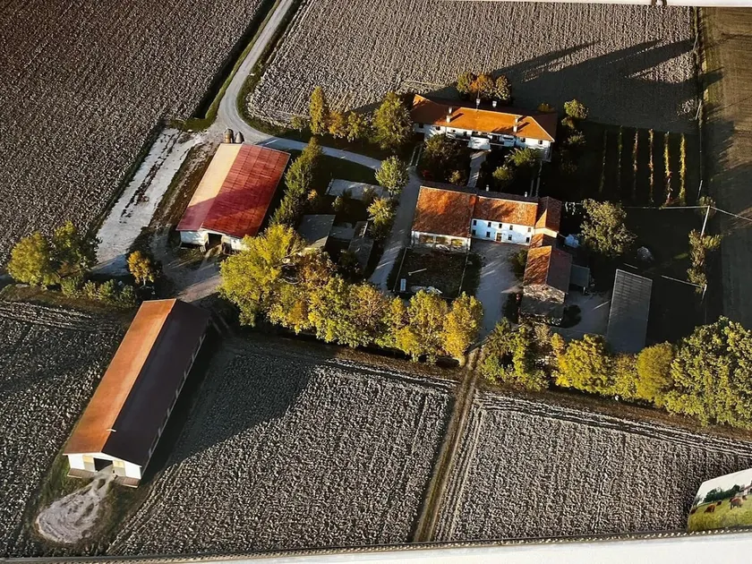 Safe Meat Farm - Image 1