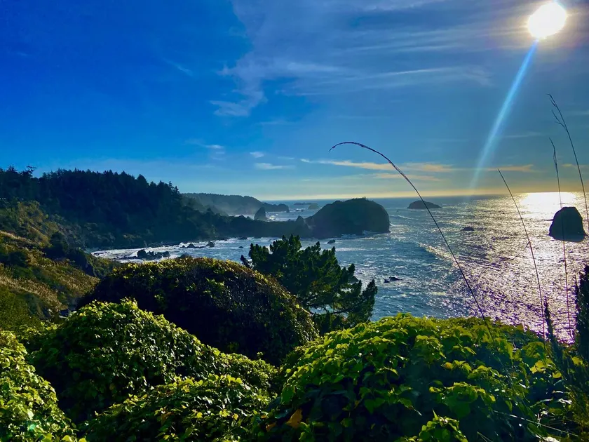 Luxury Oceanfront Suite for Two @ Whale Rock - Image 1