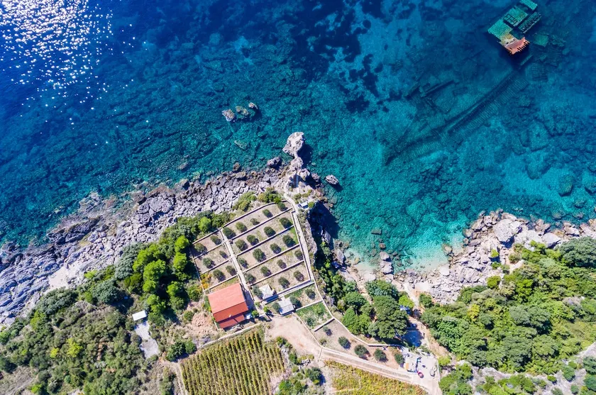 Villa Sea Edge - Image 1