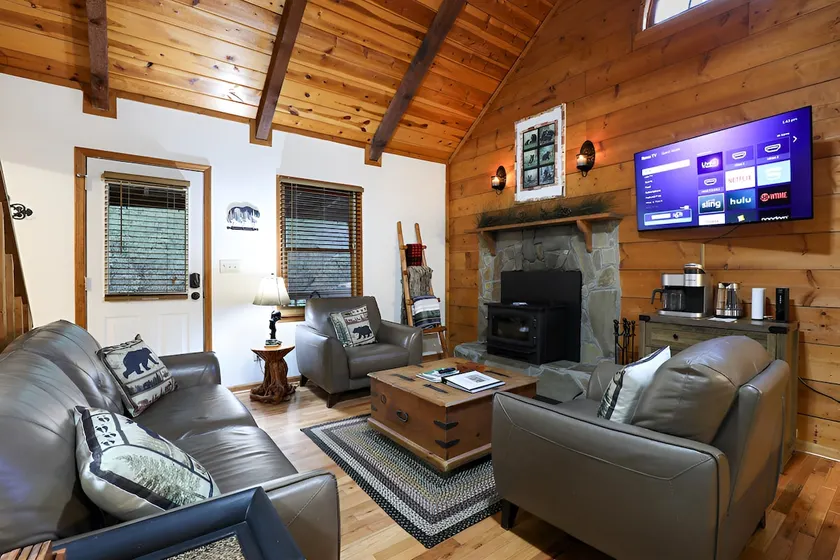 Helen 3-Level Luxury Cabin-Hot Tub-Sauna-Dogs - Image 1
