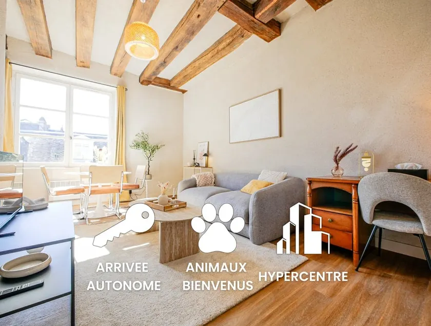 Le Caniche : T2, stone walls & beams, pet-friendly - Image 1