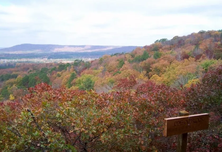 Pine Mountain Cabin with Fire Pit and Wildlife - Image 1