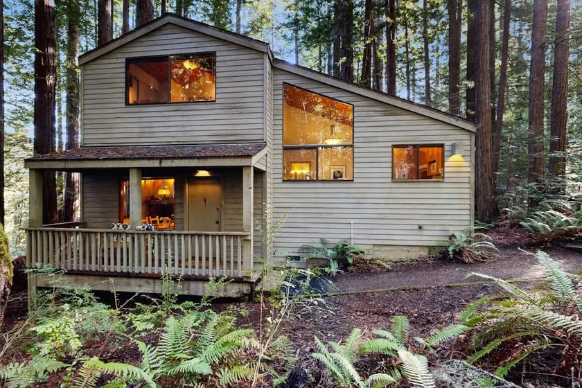 Deep Woods Hideaway - Dog-friendly forest retreat - Image 1