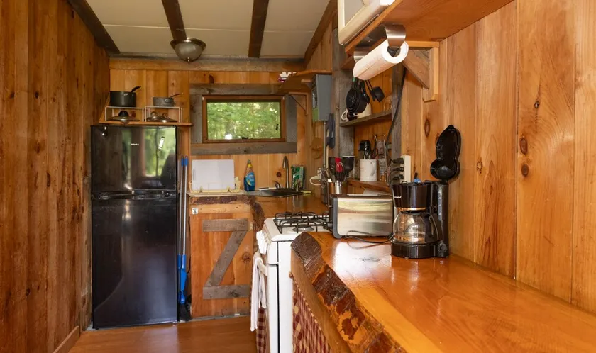 Cozy cabin 150' from pristine Lake Armington - Image 1