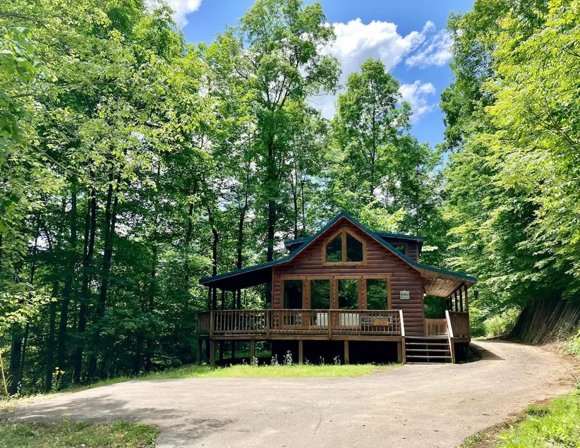 Wildcat Cabin • Pet Friendly, Hot Tub, Forest Stay - Image 1