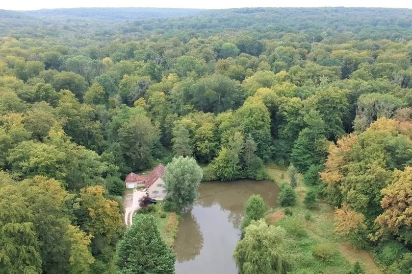 Forest gite - Image 1