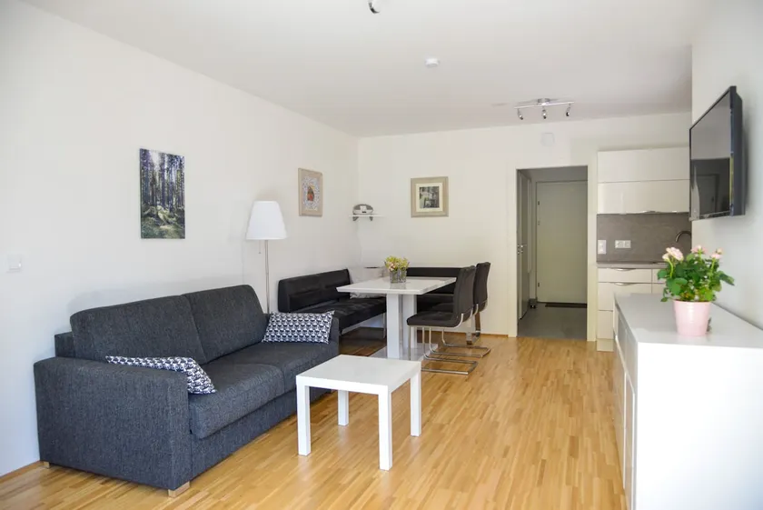 Alpine Apartment Ulla 3 - Bad Mitterndorf - Image 1