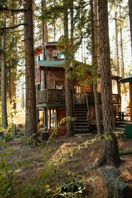 Tree House Tranquil-A-Tree Romantic/Hot Tub - Image 1