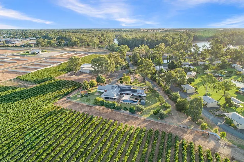 Luxury Vineyard Estate | Pool | 5 Bedrooms - Image 1