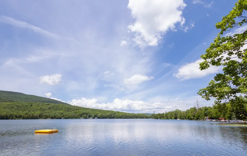 Cozy 2BR cabin inches from pristine Lake Armington - Image 1