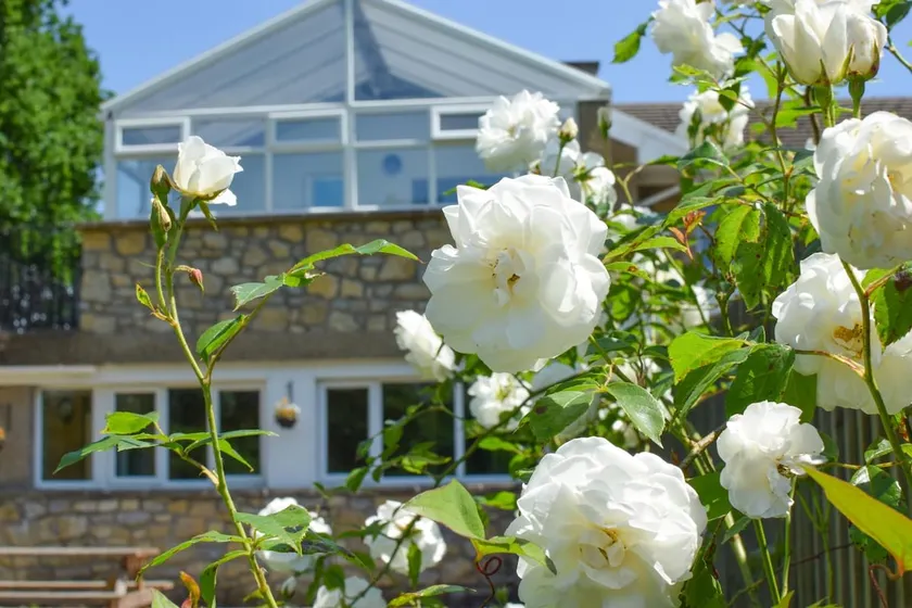 2 Bed in Cardiff oc-45394 - Image 1