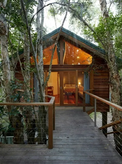 Treehouse - Image 1