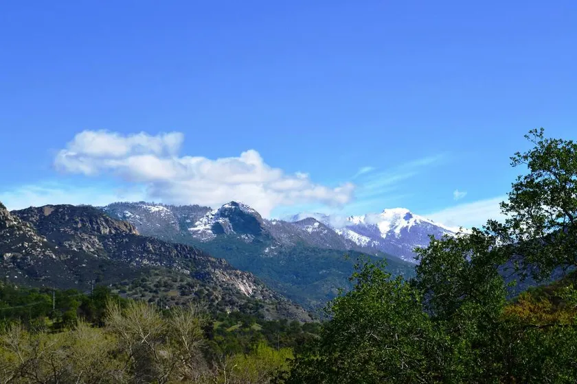 Shady Knoll - Image 1